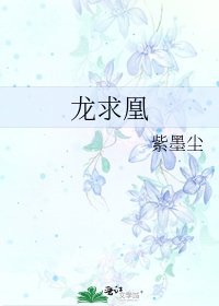《龙求凰》