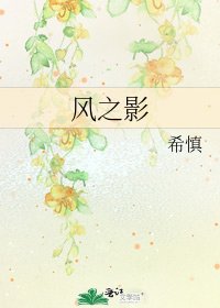 《风之影》
