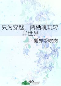 《只为穿越,两栖魂玩转异世界》