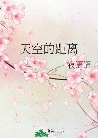 《天空的距离》