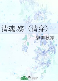 《清魂.殇(清穿)》