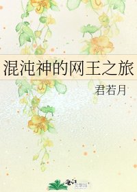 混沌神的网王之旅
