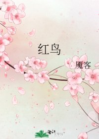 《红鸟》