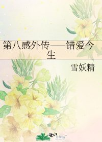 《第八感外传——错爱今生》