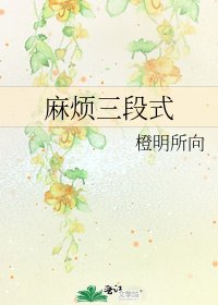 《麻烦三段式》