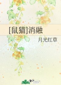 [鼠猫]消融