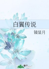 白翼传说