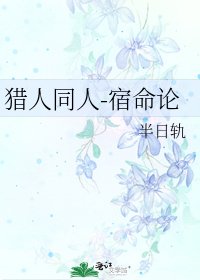 《猎人同人-宿命论》