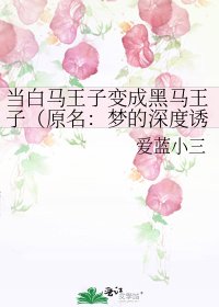 《当白马王子变成黑马王子(原名:梦的深度诱惑)》