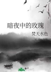 暗夜中的玫瑰