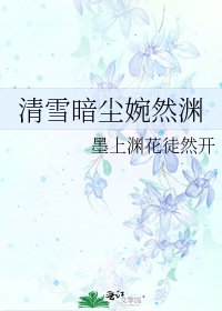 《清雪暗尘婉然渊》