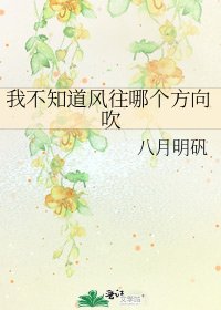 《我不知道风往哪个方向吹》
