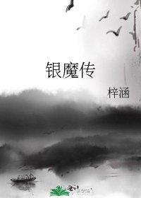 《银魔传》