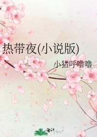 《热带夜(版)》