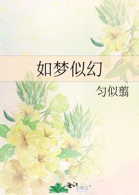 《如梦似幻》