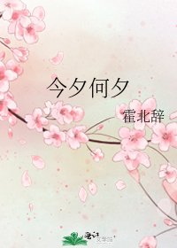 《今夕何夕》