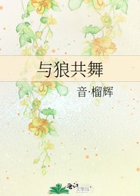 《与狼共舞》