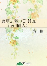 《翼羽之梦(D·N·Angel同人)》