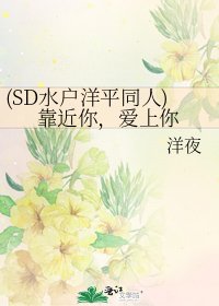 (SD水户洋平同人)靠近你，爱上你