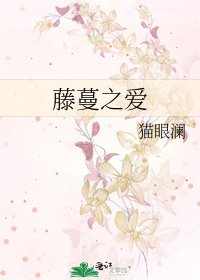 《藤蔓之爱》