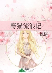 《野猫流浪记》