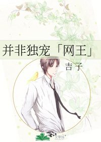 《并非独宠「网王」》