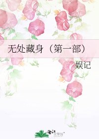 《无处藏身(第一部)》
