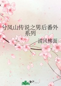 《兮凤山传说之男后番外系列》