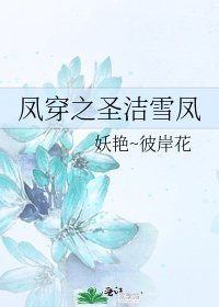《凤穿之圣洁雪凤》