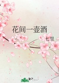 《花间一壶酒》