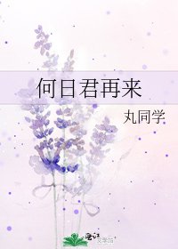《何日君再来》