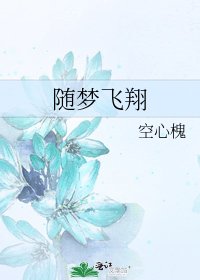 《随梦飞翔》