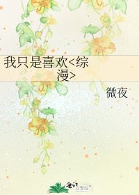 《我只是喜欢》