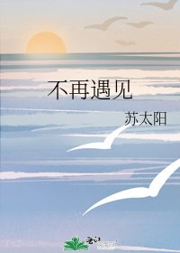 《不再遇见》