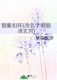 《银紫扣环(改名字啦银冰玄宫)》