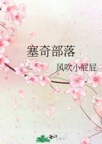 《塞奇部落》
