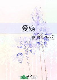 《爱殇》