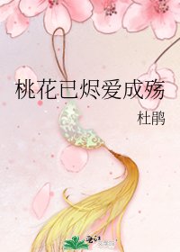 《桃花已烬爱成殇》