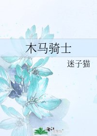 《木马骑士》