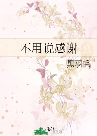 《不用说感谢》