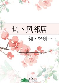 《切丶风邻居》