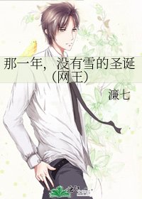 《那一年,没有雪的圣诞(网王)》