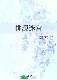 《桃源迷宫》
