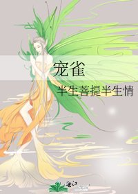 《宠雀》