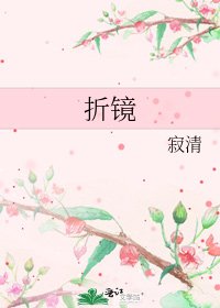 《折镜》