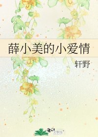 《薛小美的小爱情》