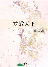 《龙战天下》