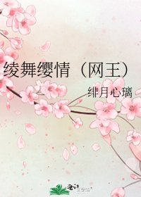 《绫舞缨情(网王)》