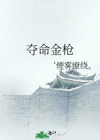 《夺命金枪》