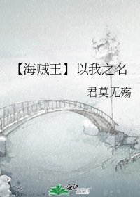 【海贼王】以我之名